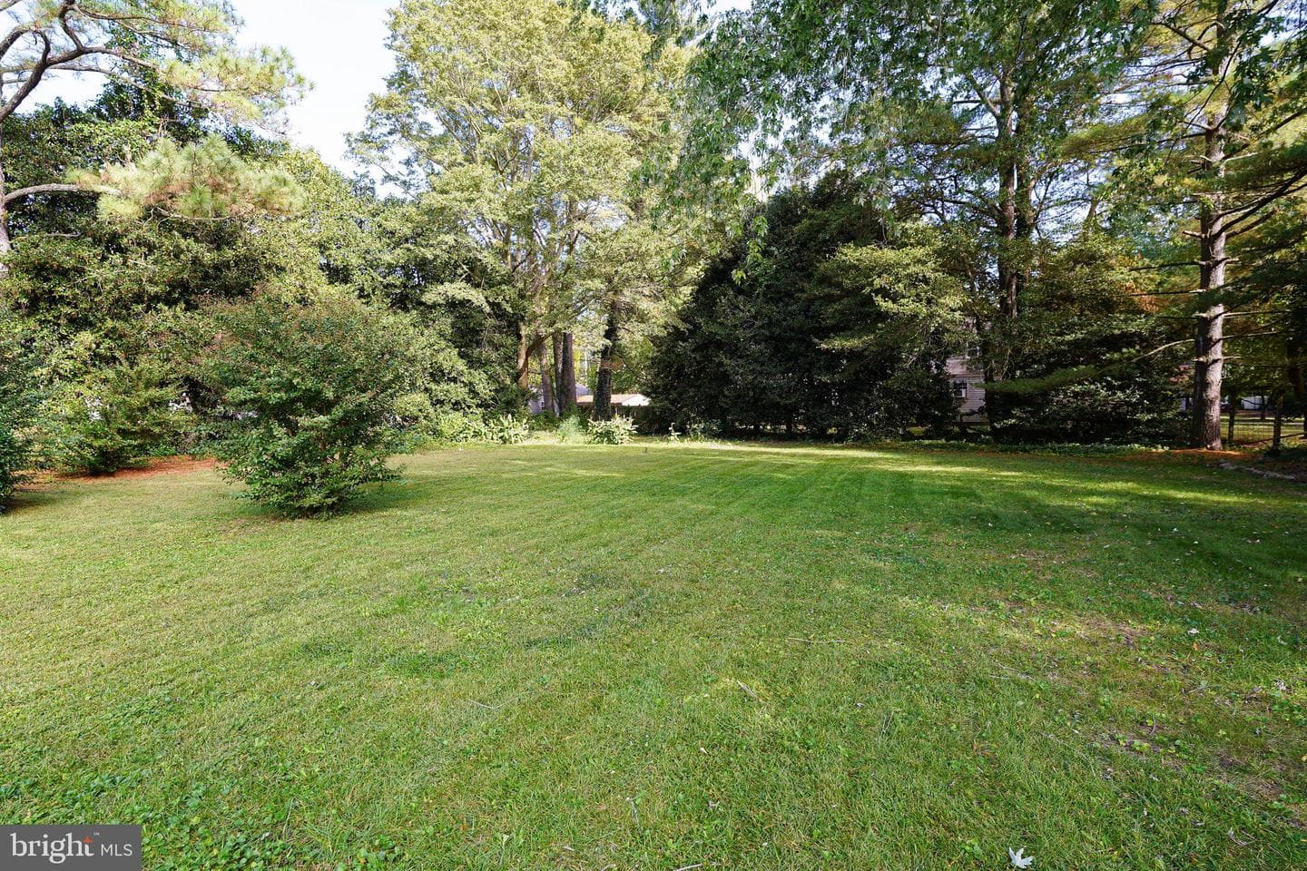 707 Camellia Road photo 67