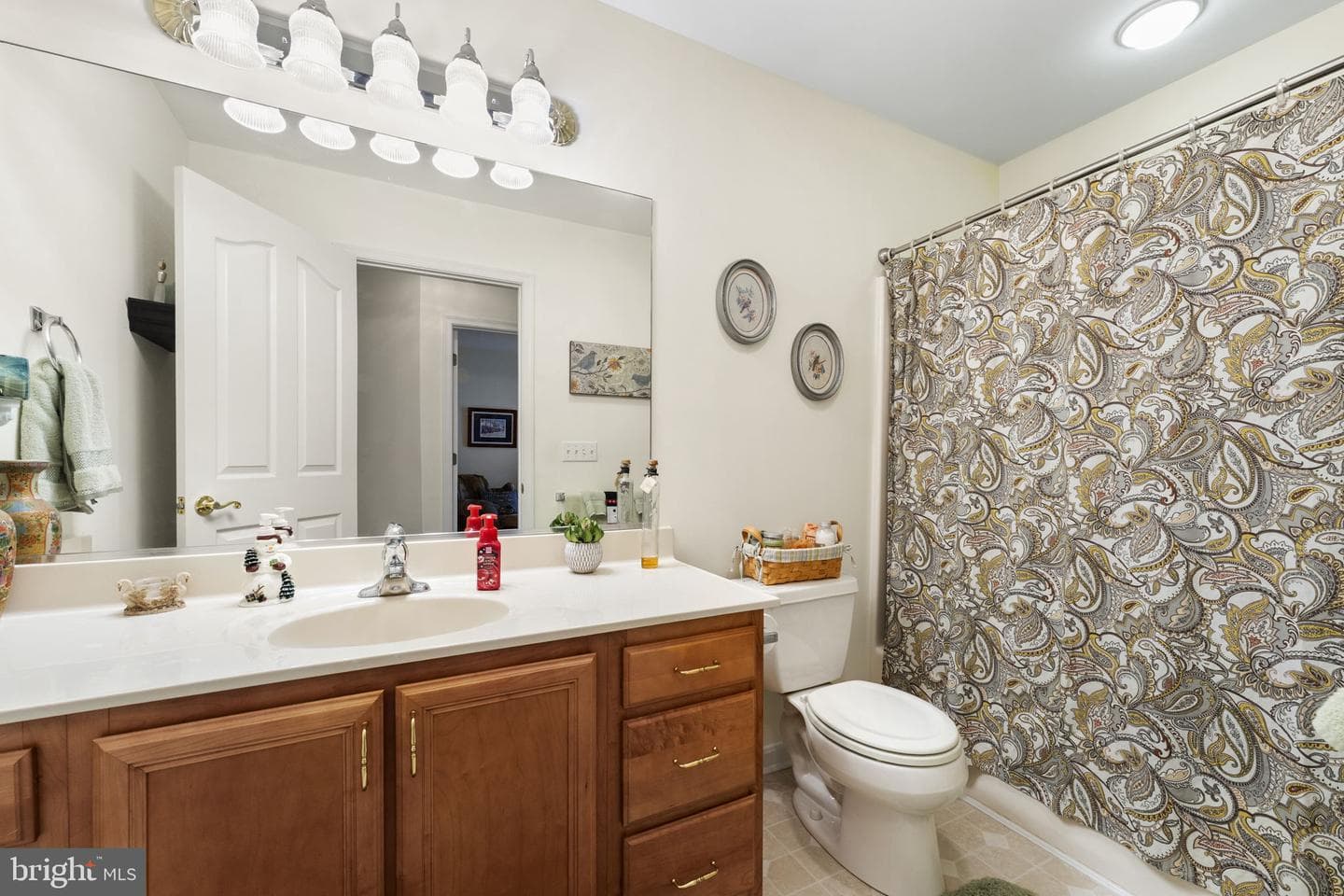 212 Spring Crest Drive photo 33