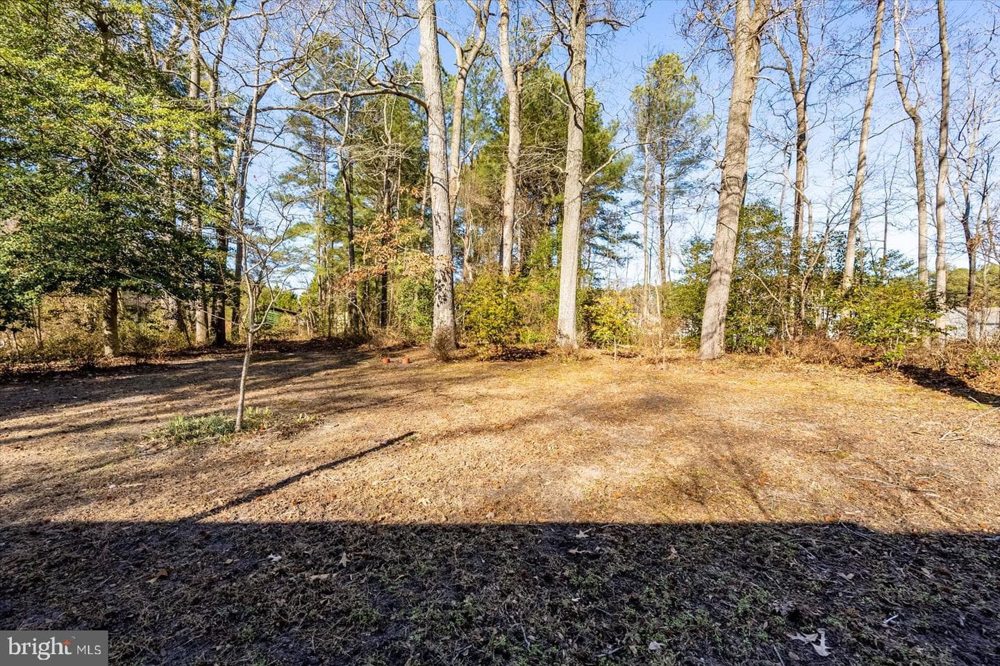 709 Grason Lane photo 49