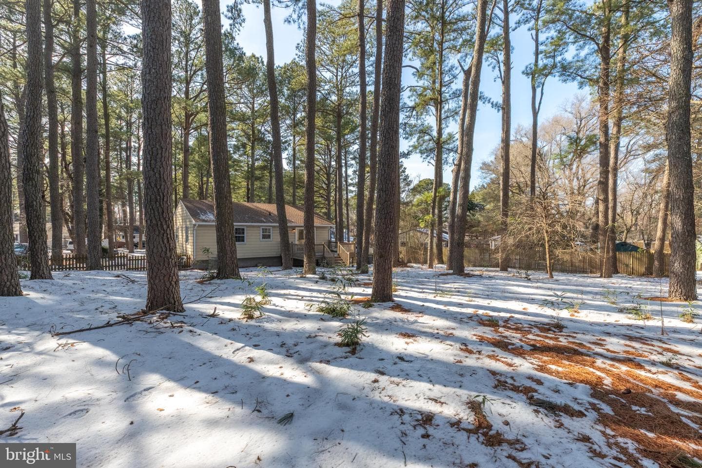 705 Buckingham Circle photo 38