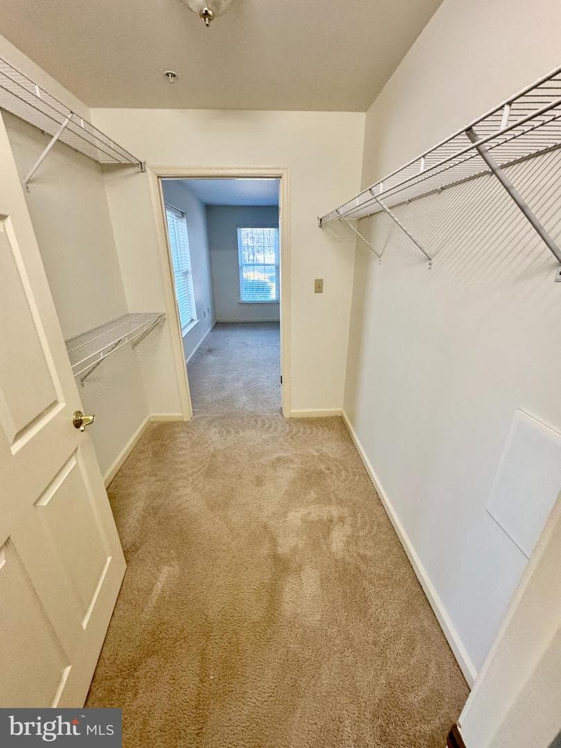 1101 S Schumaker Drive #010 photo 16