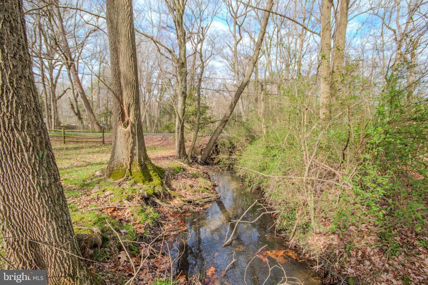703 Parker Road photo 47