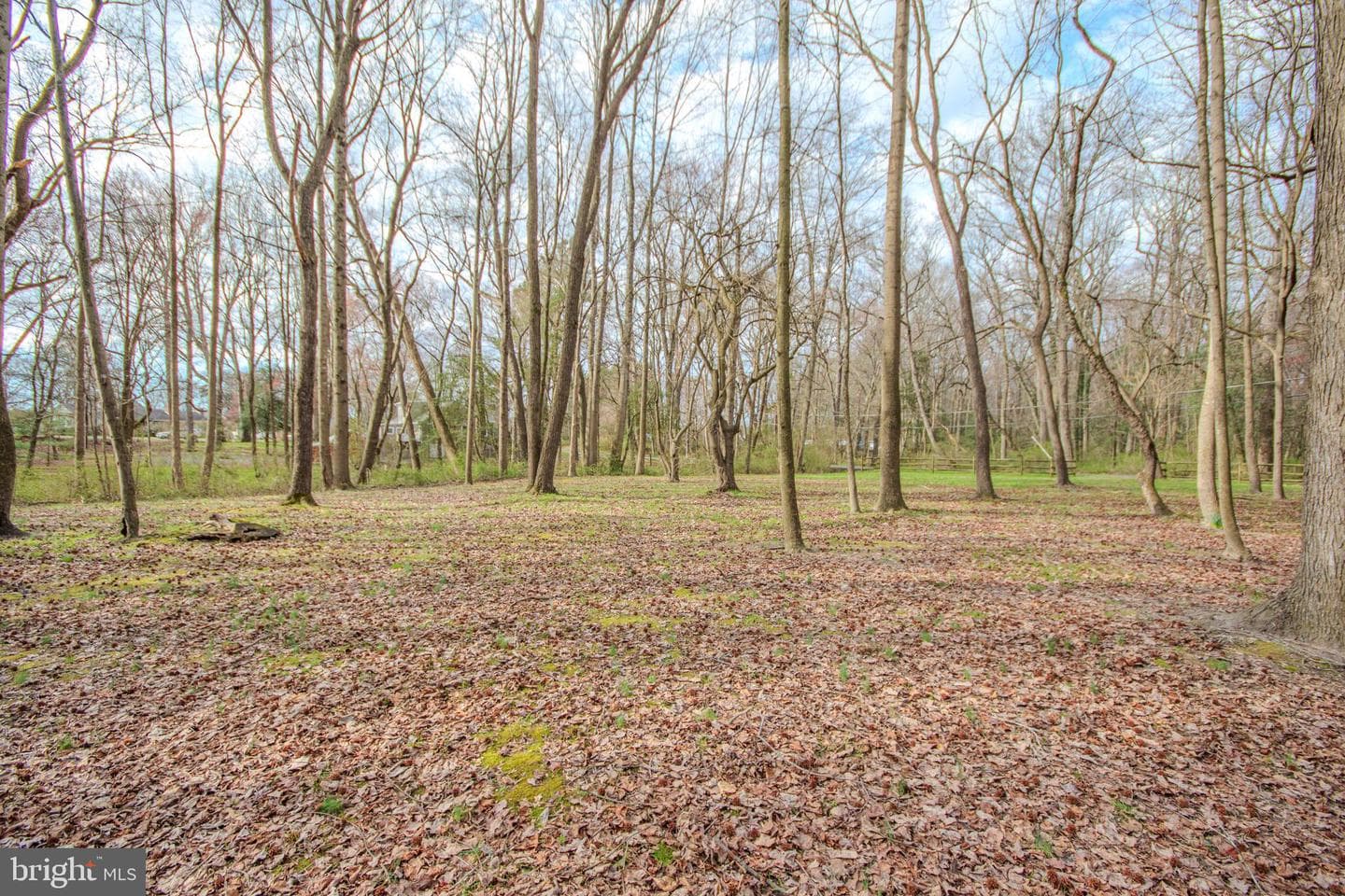 703 Parker Road photo 50