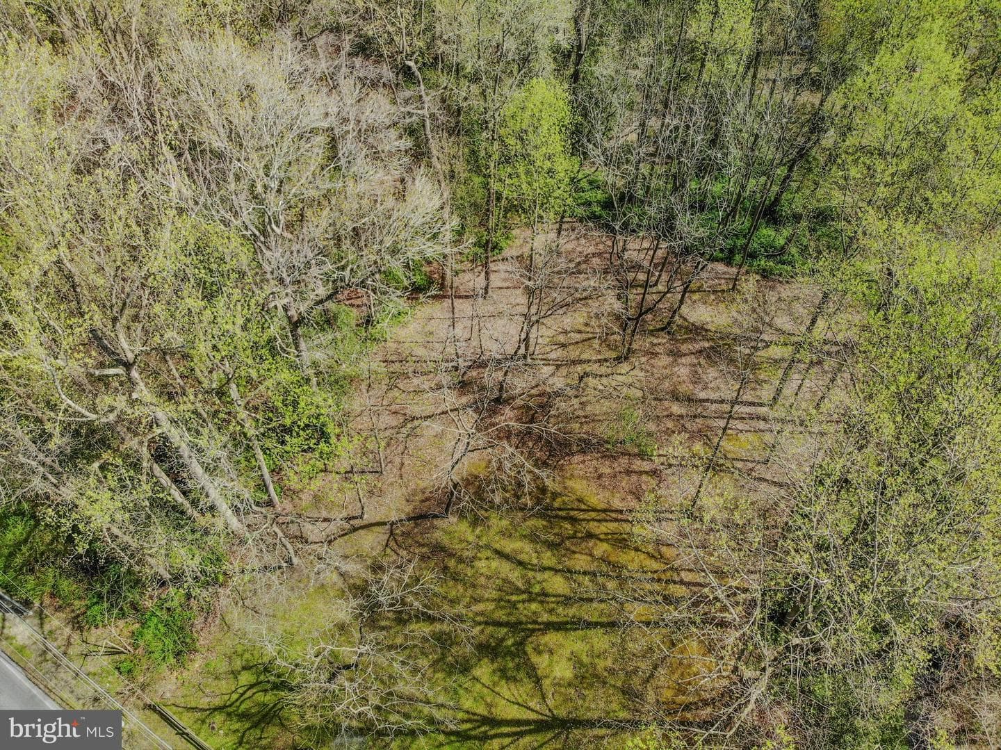 703 Parker Road photo 53
