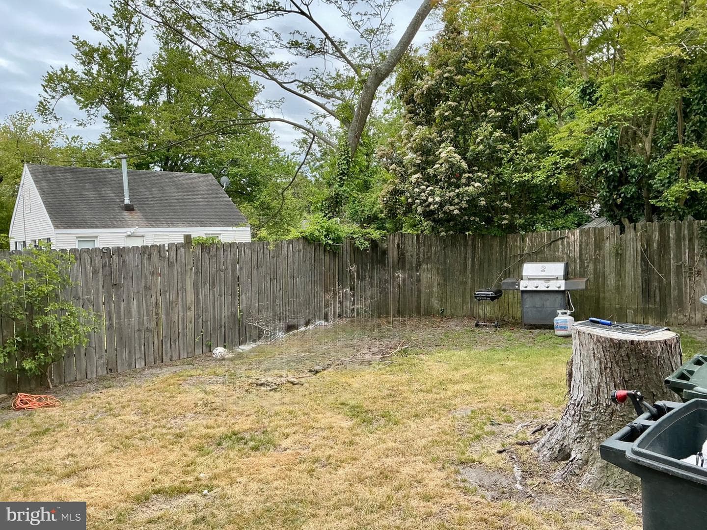 1005 Marion Street photo 15