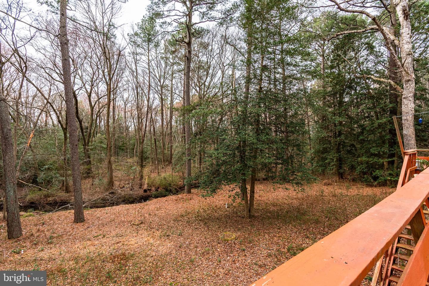 808 Friar Tuck Lane photo 79