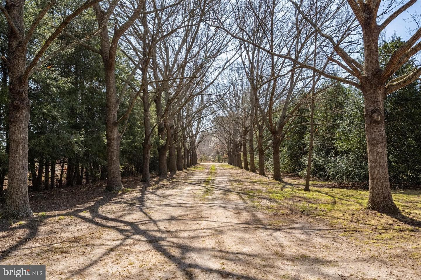 27980 Pemberton photo 105