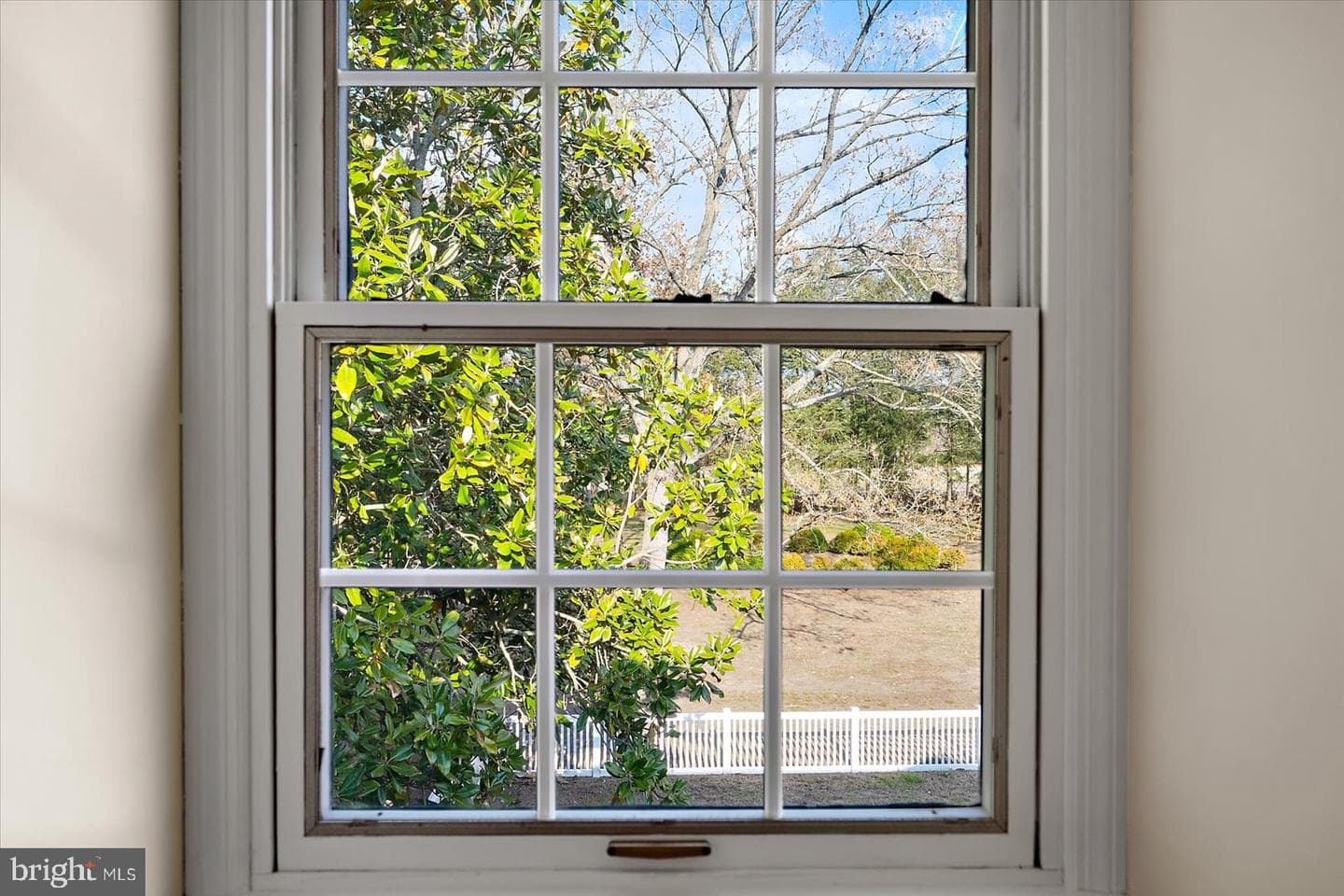 27980 Pemberton photo 55