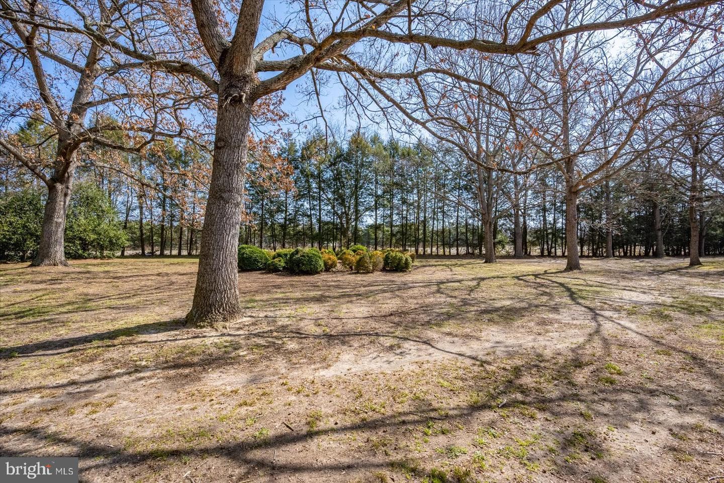 27980 Pemberton photo 81