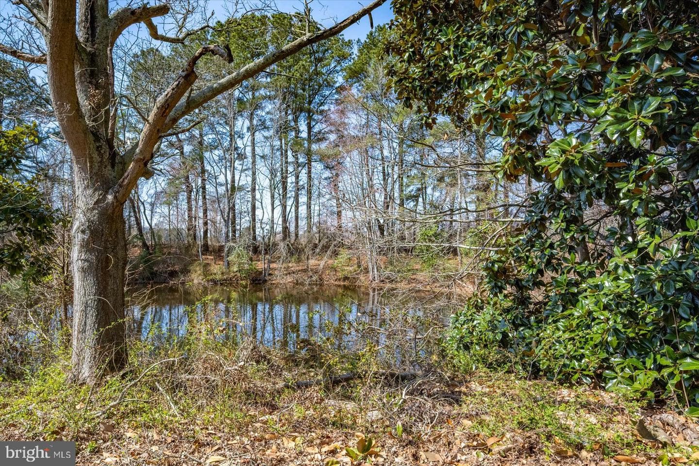 27980 Pemberton photo 88