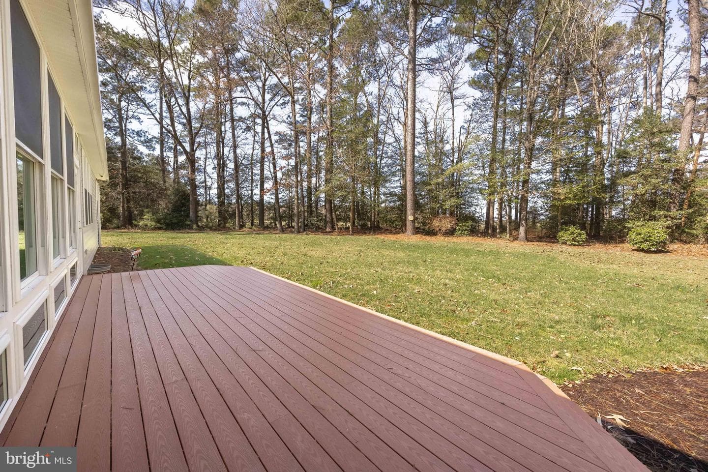 7814 Broadleaf Drive photo 49
