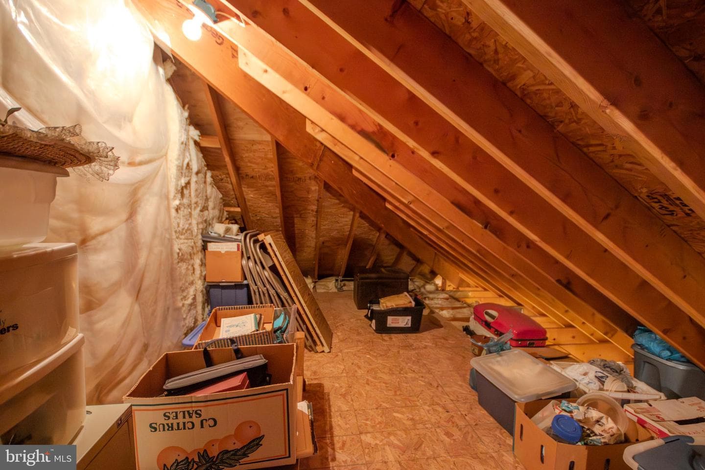 1014 Caravan Way photo 34