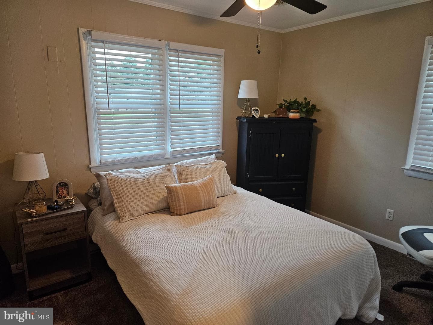 30420 Cannon Drive photo 12