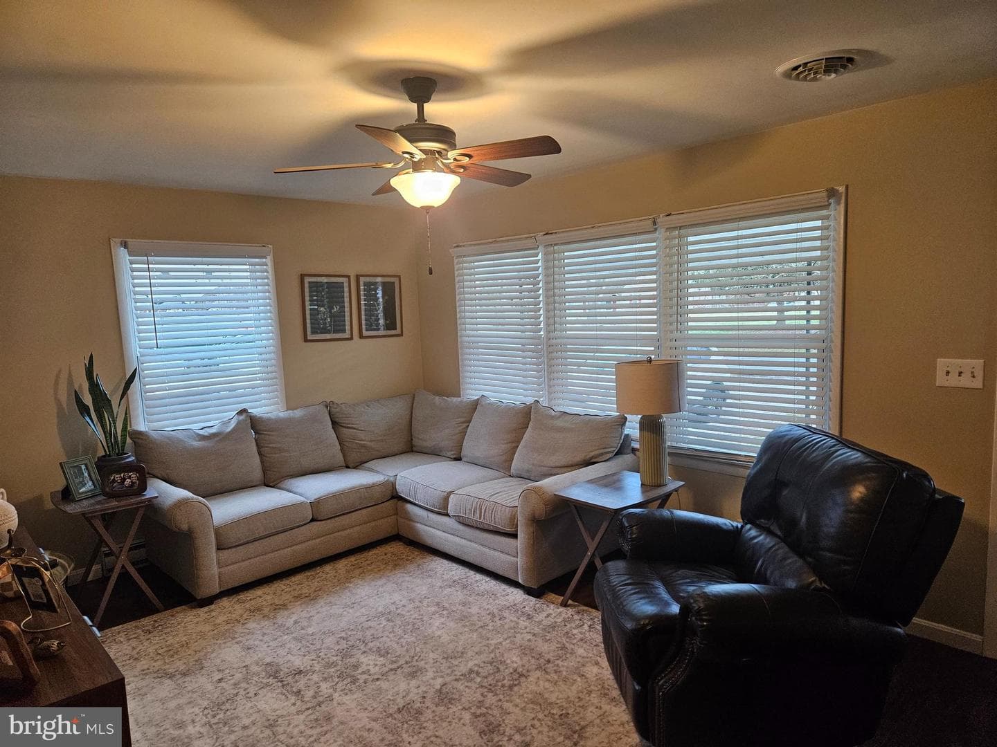 30420 Cannon Drive photo 5