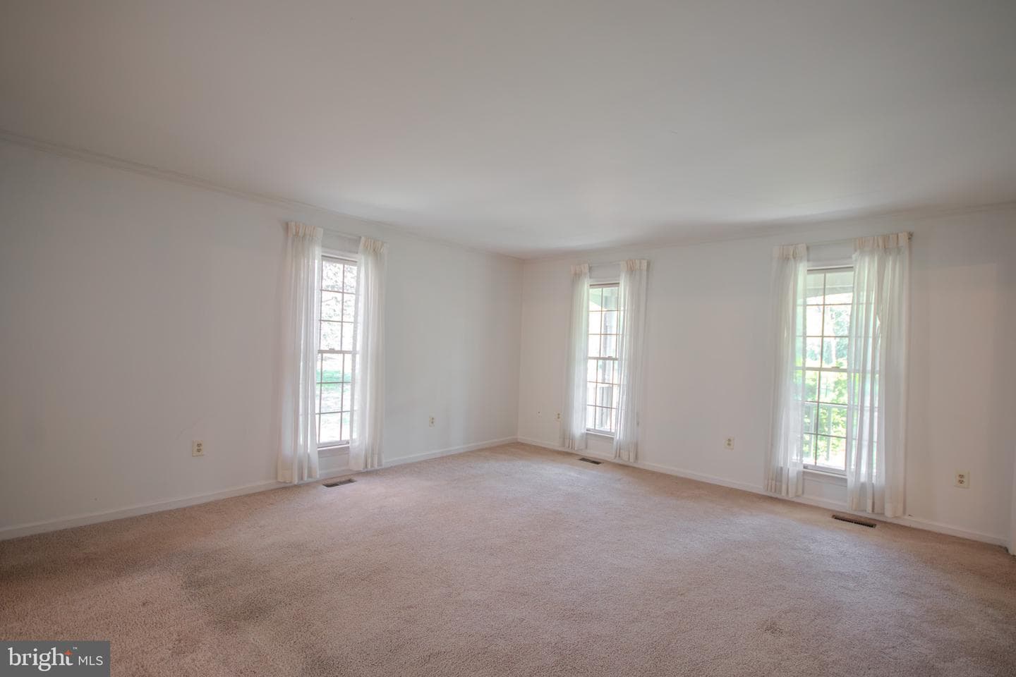 30668 Foxchase Drive photo 17