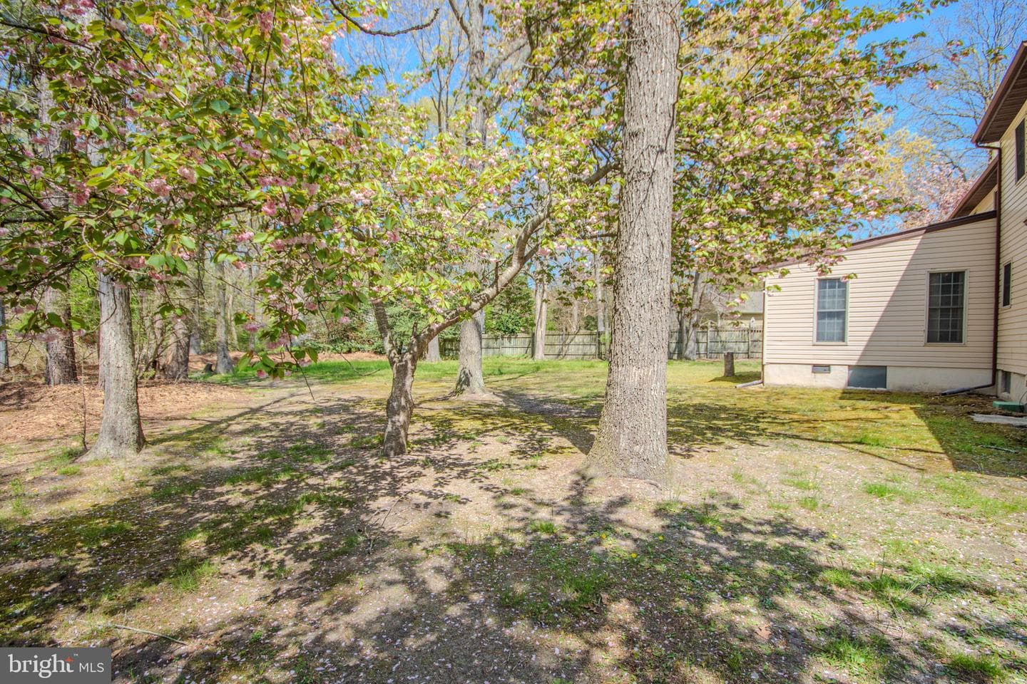 30668 Foxchase Drive photo 54