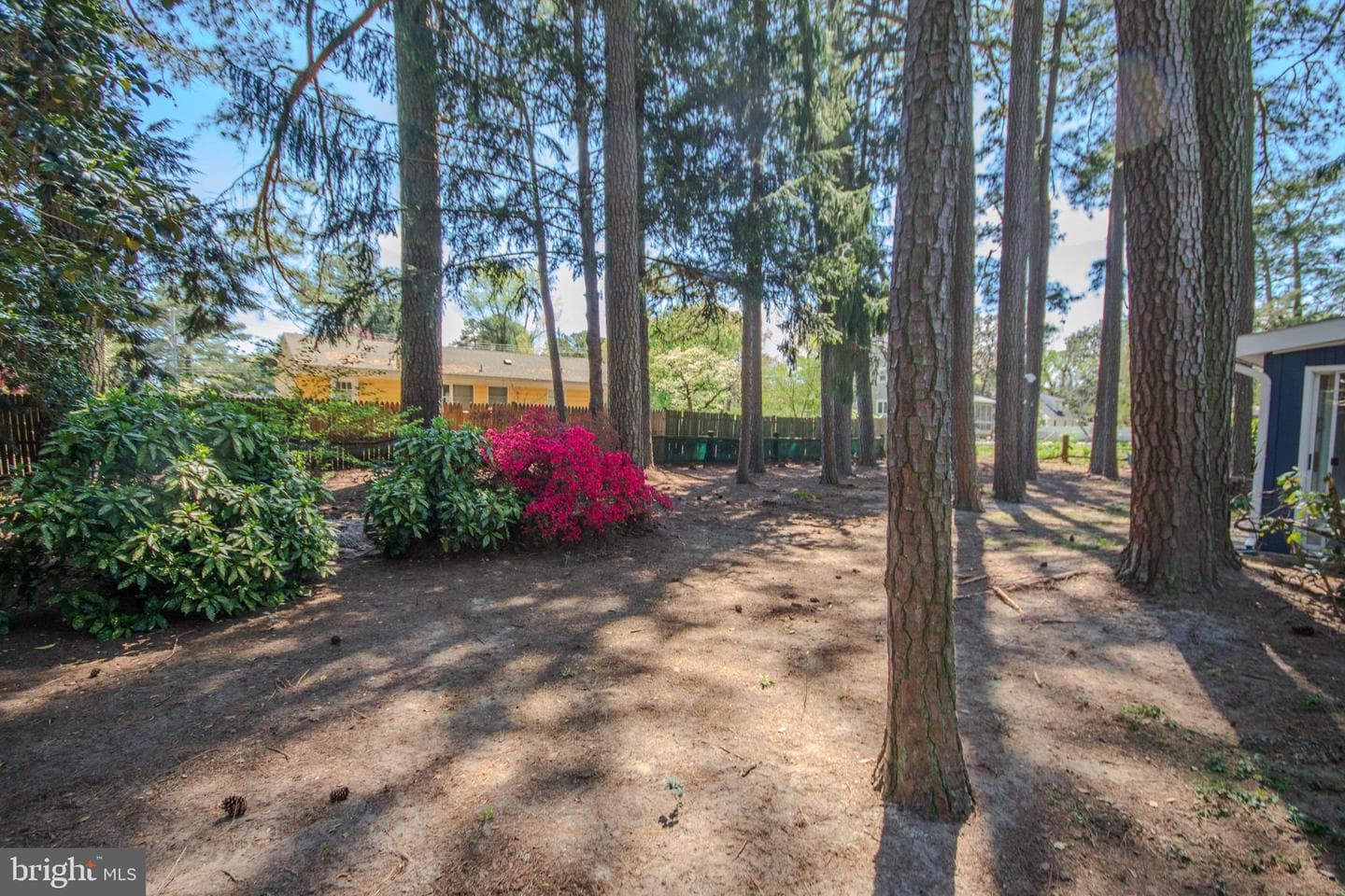 119 Walden Drive photo 29