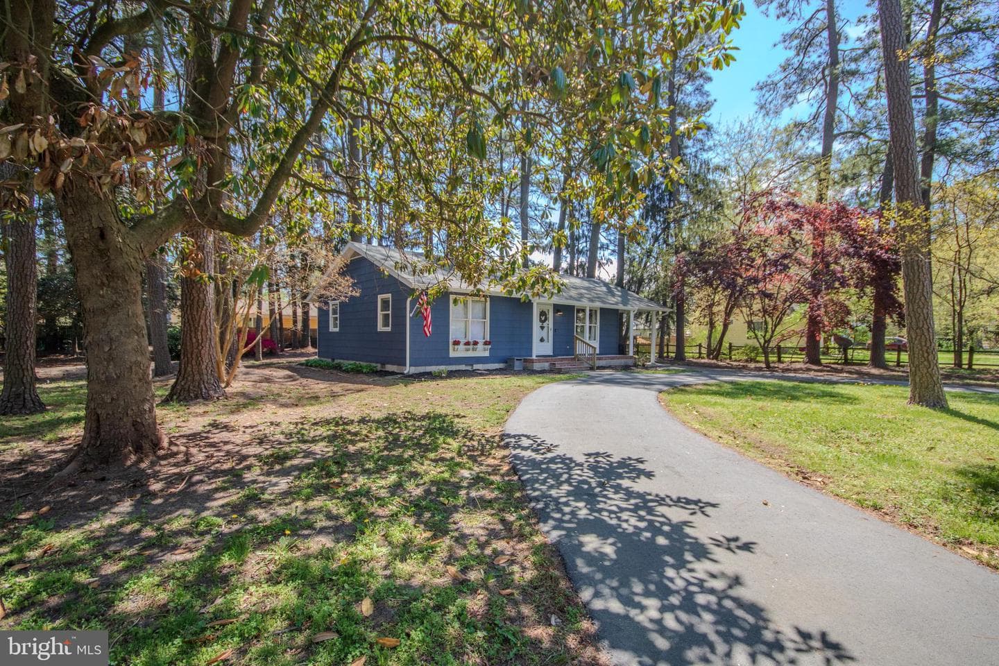 119 Walden Drive photo 4