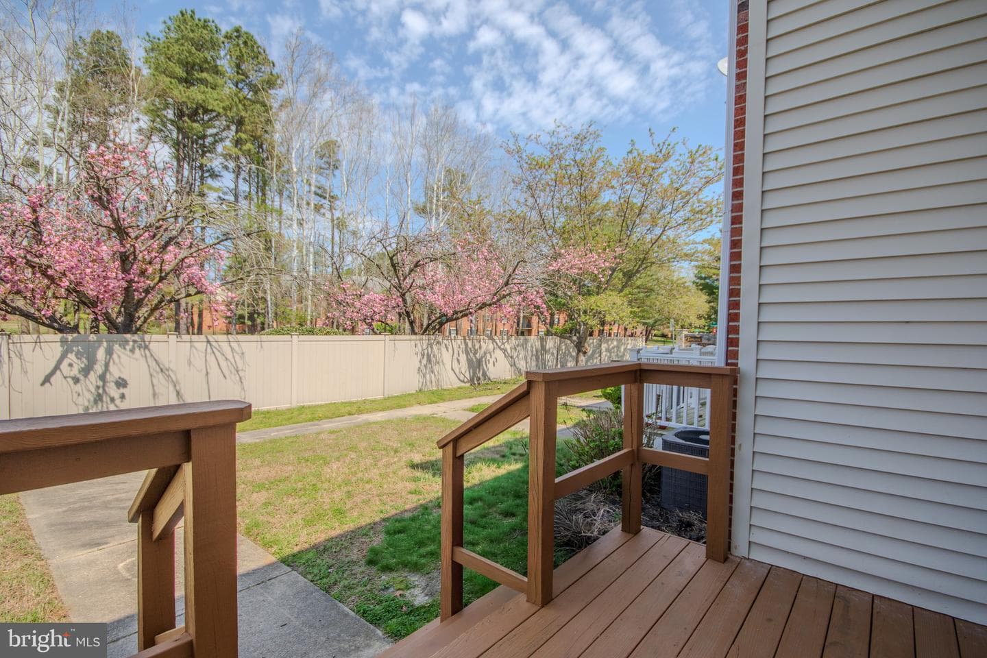 856 Beaglin Park Drive photo 20