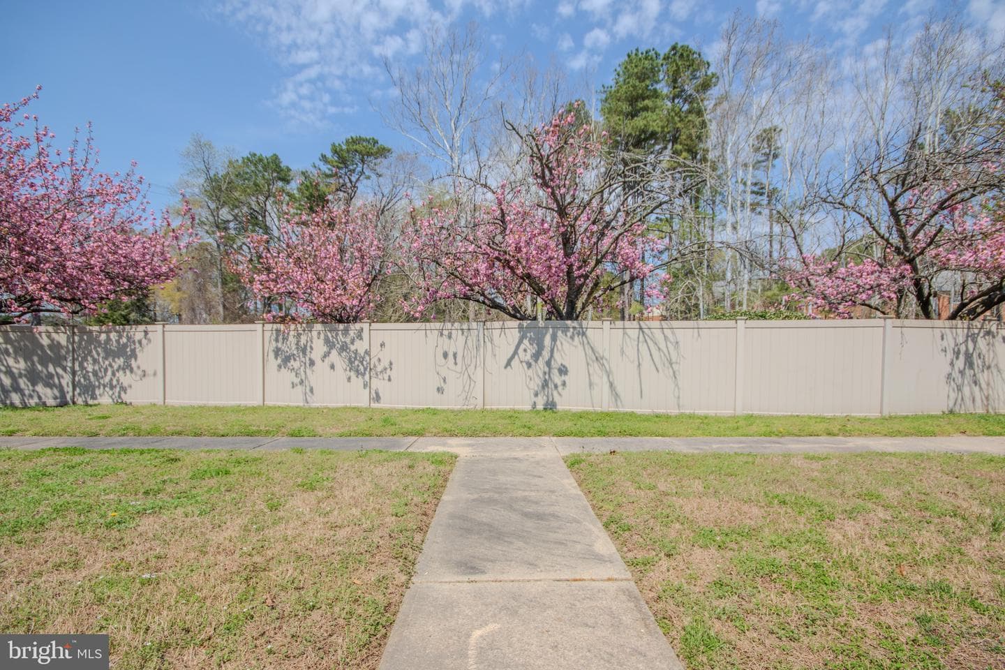 856 Beaglin Park Drive photo 22