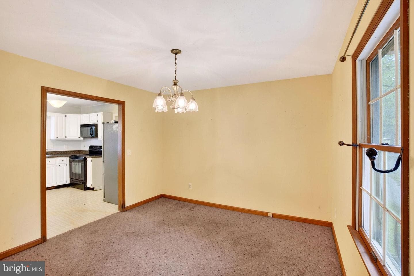 1005 Lantern Hill Court photo 12