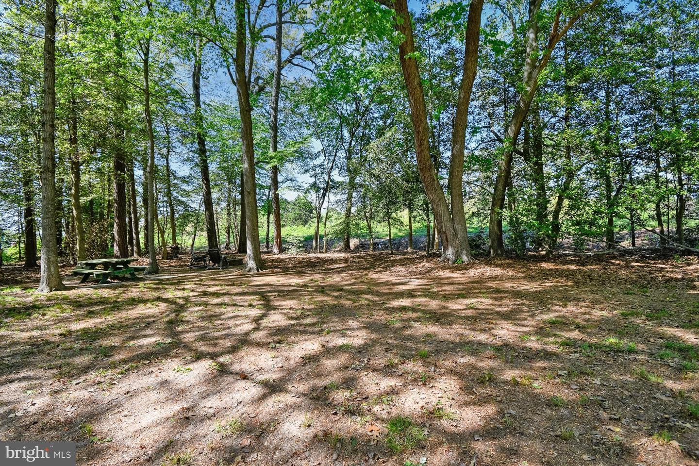 801 Outten Road photo 29