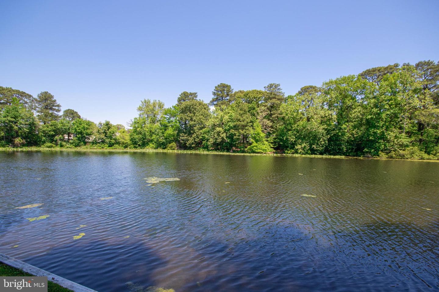 231 Canal Park Drive #a-204 photo 26