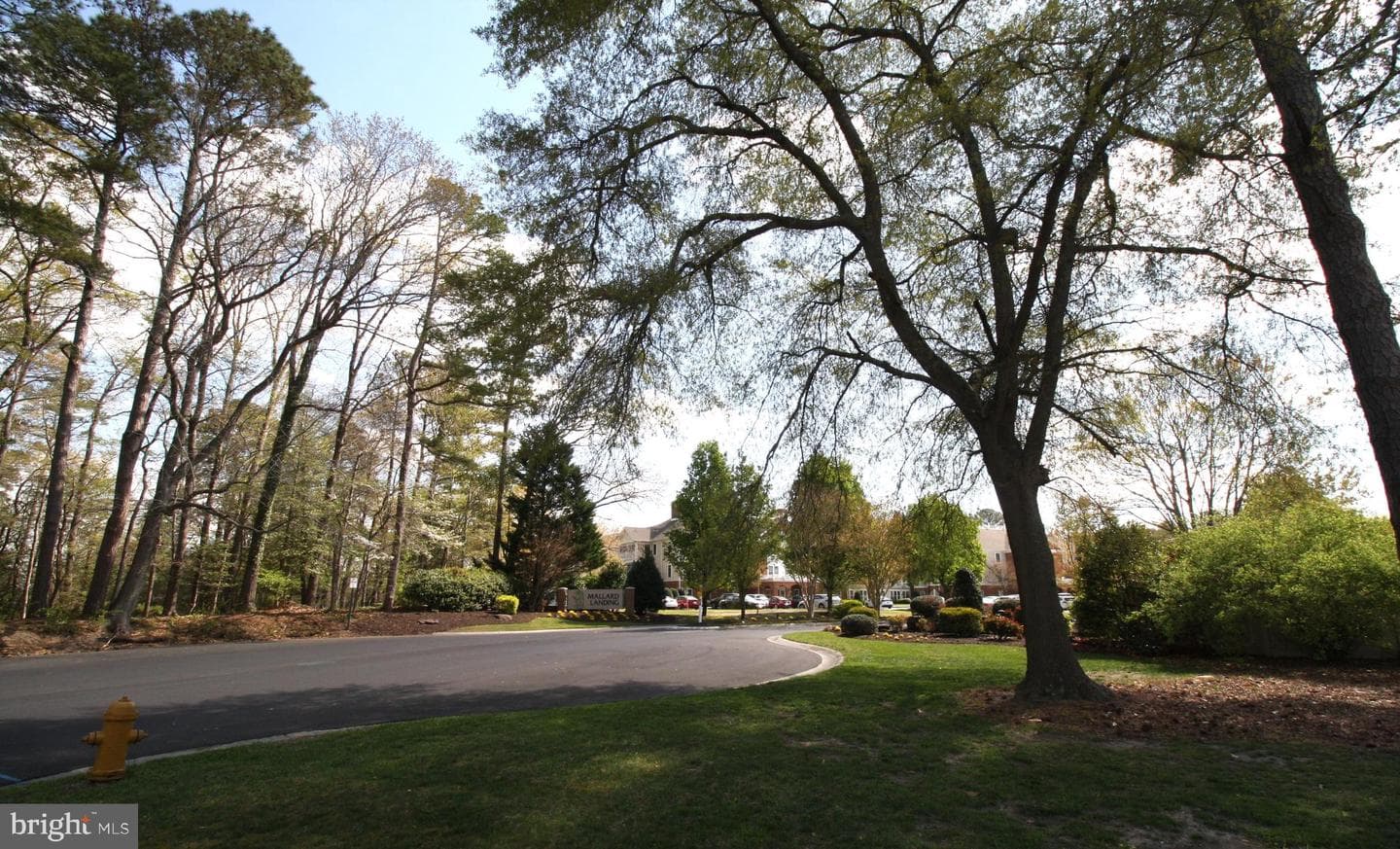 1036 S Schumaker Drive photo 46