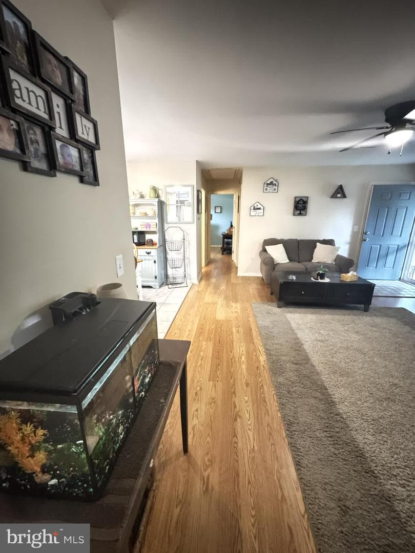 125 Shamrock Drive photo 6