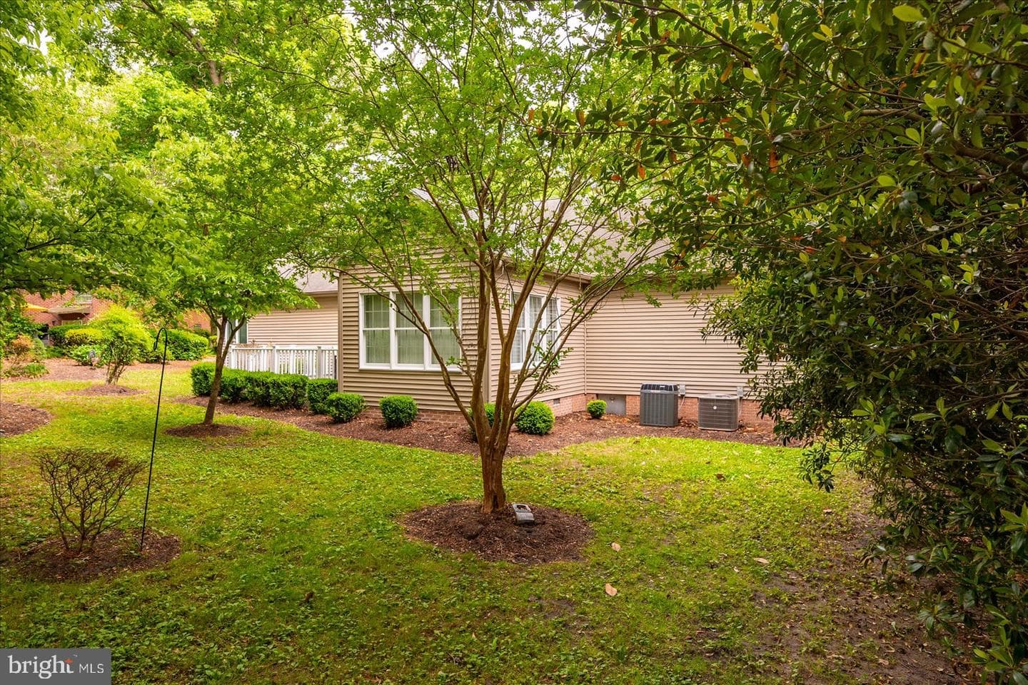 509 Dogwood Drive photo 62