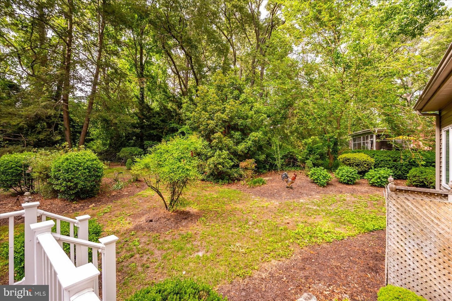 509 Dogwood Drive photo 64