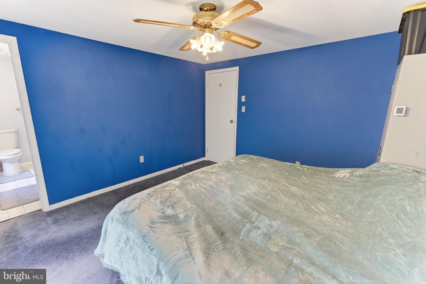 610 Terrapin photo 33