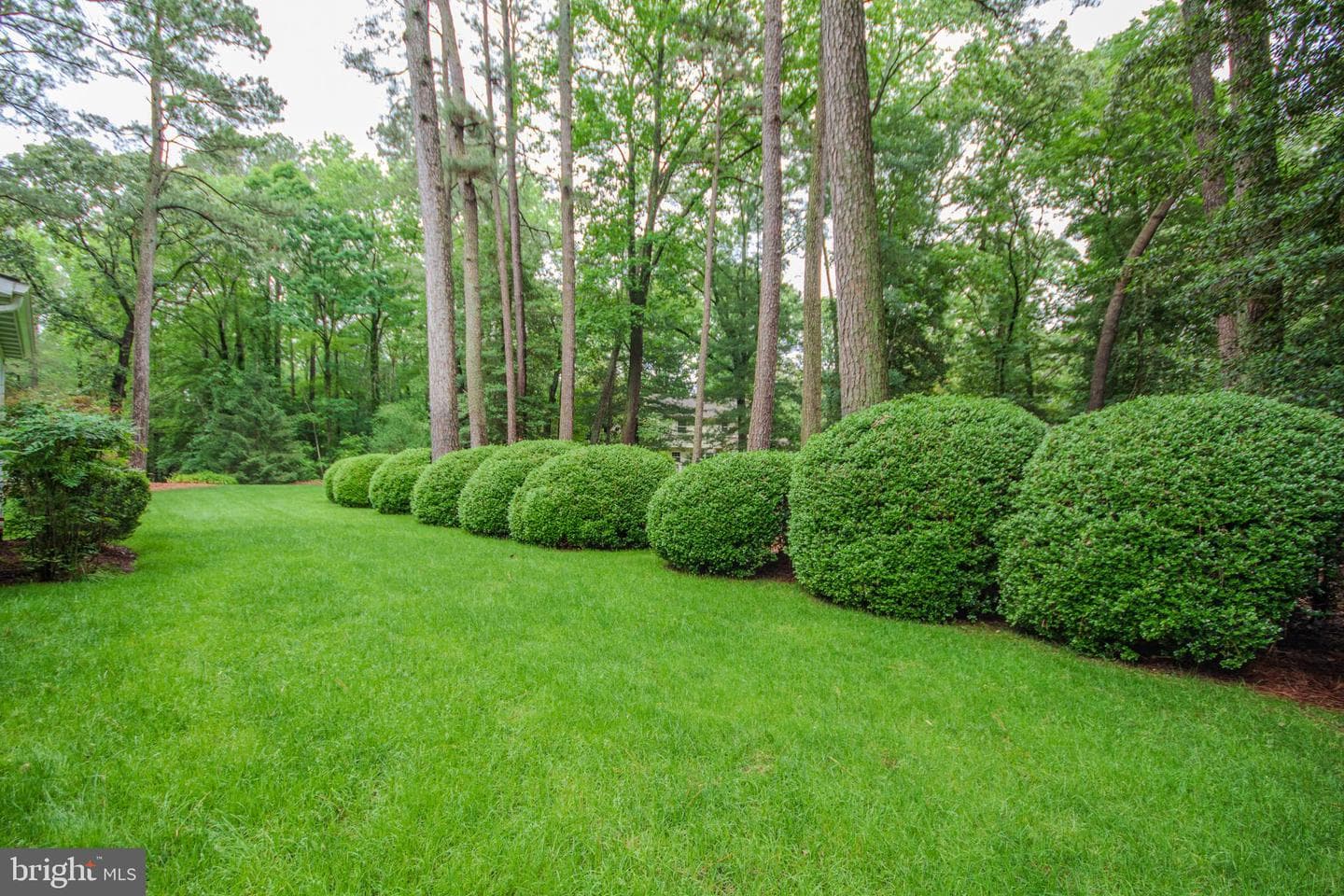 29745 Jackson Road photo 56