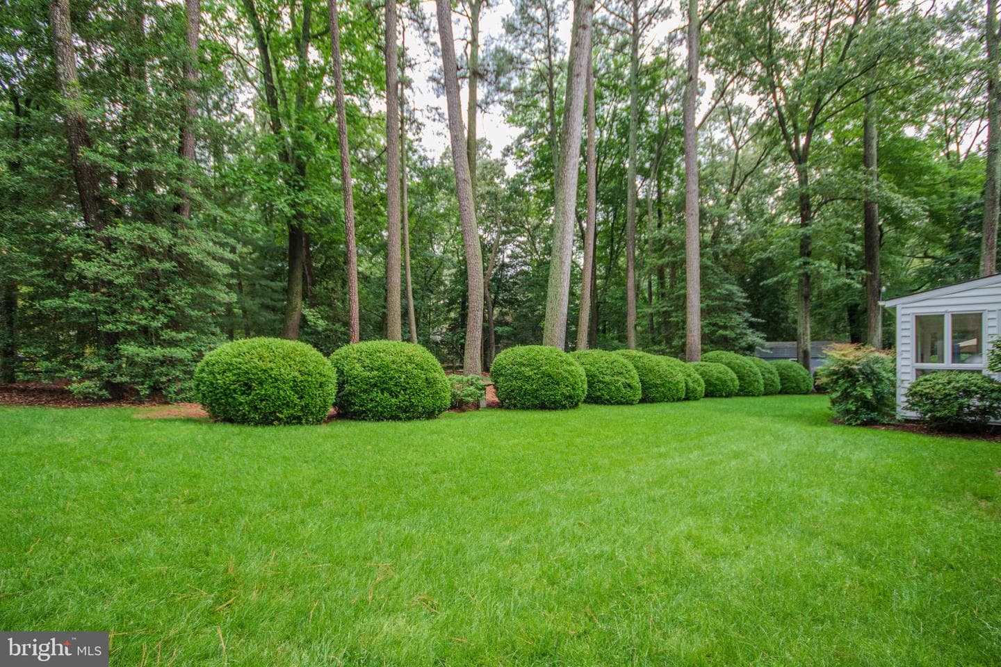 29745 Jackson Road photo 57