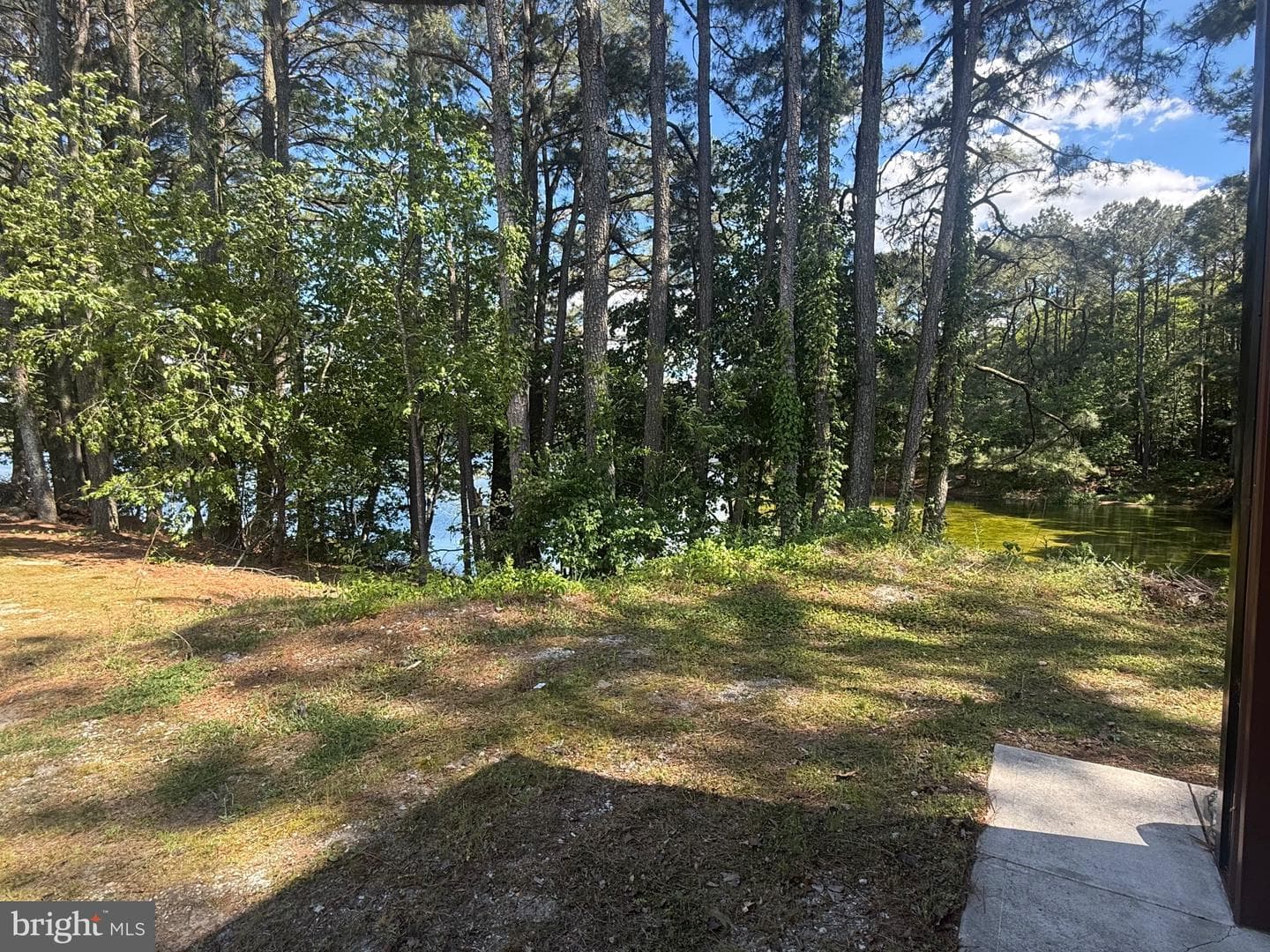 1214 Johnson Road photo 7