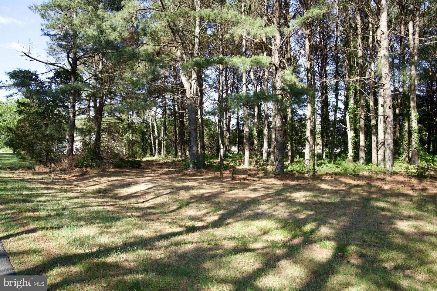 31867 Shavox Road photo 38