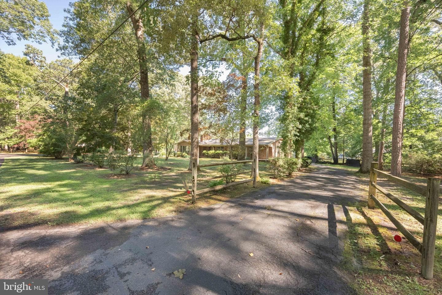 8473 N Prong Lane photo 6