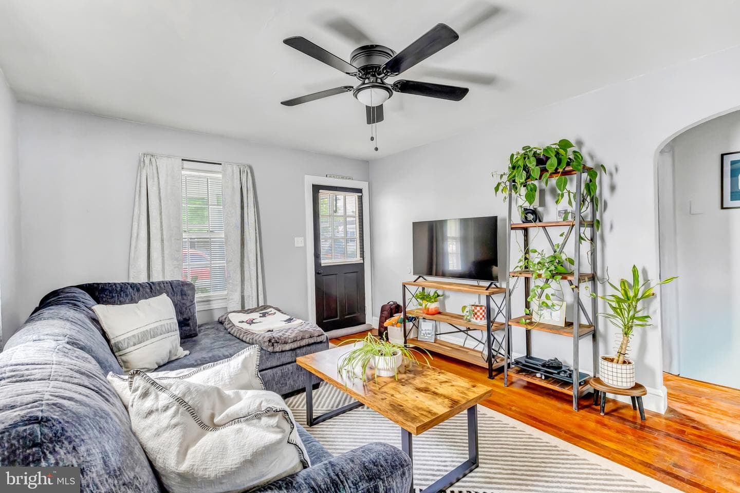 109 Prince Street photo 5