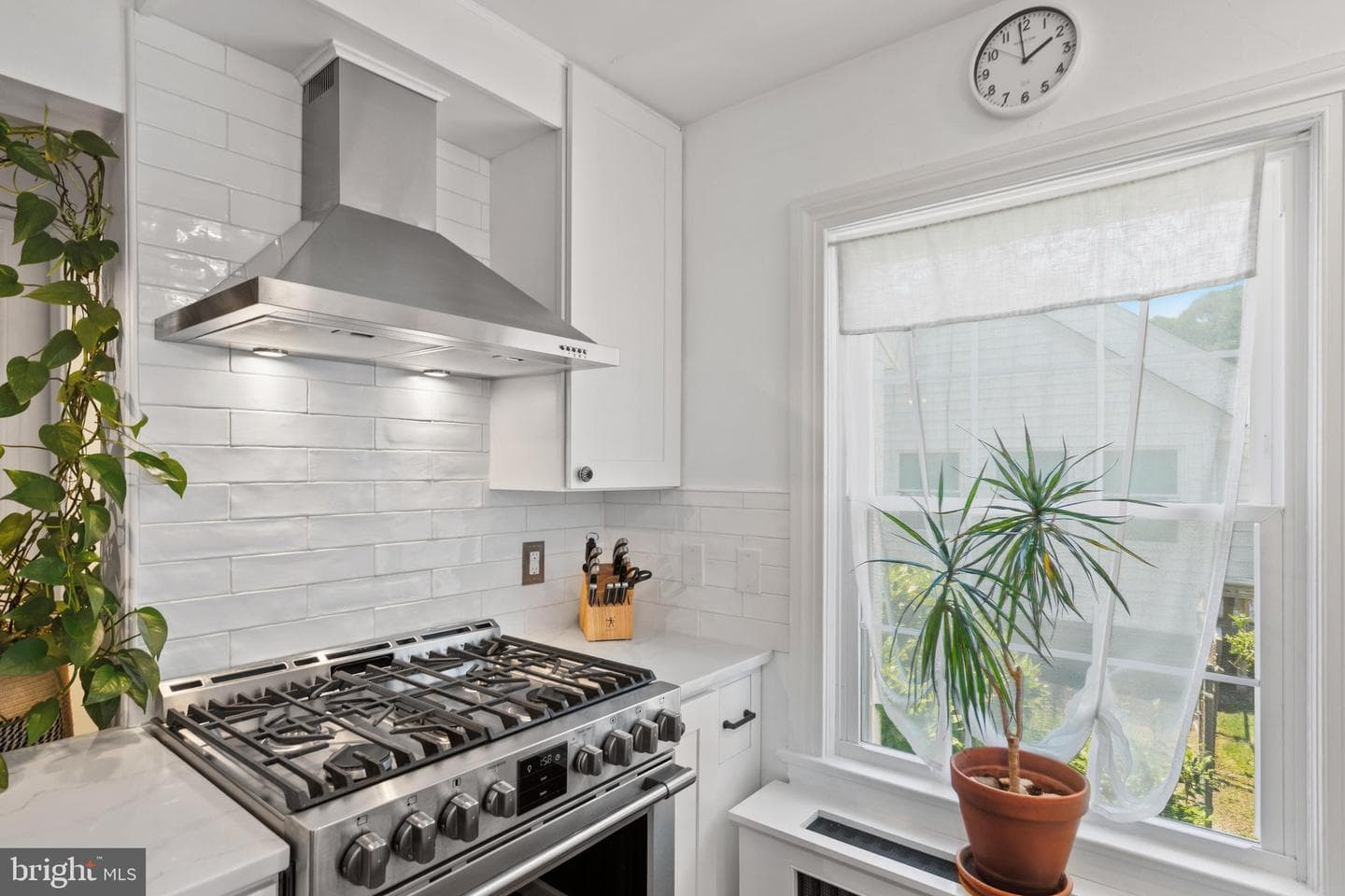 427 Druid Hill Avenue photo 10