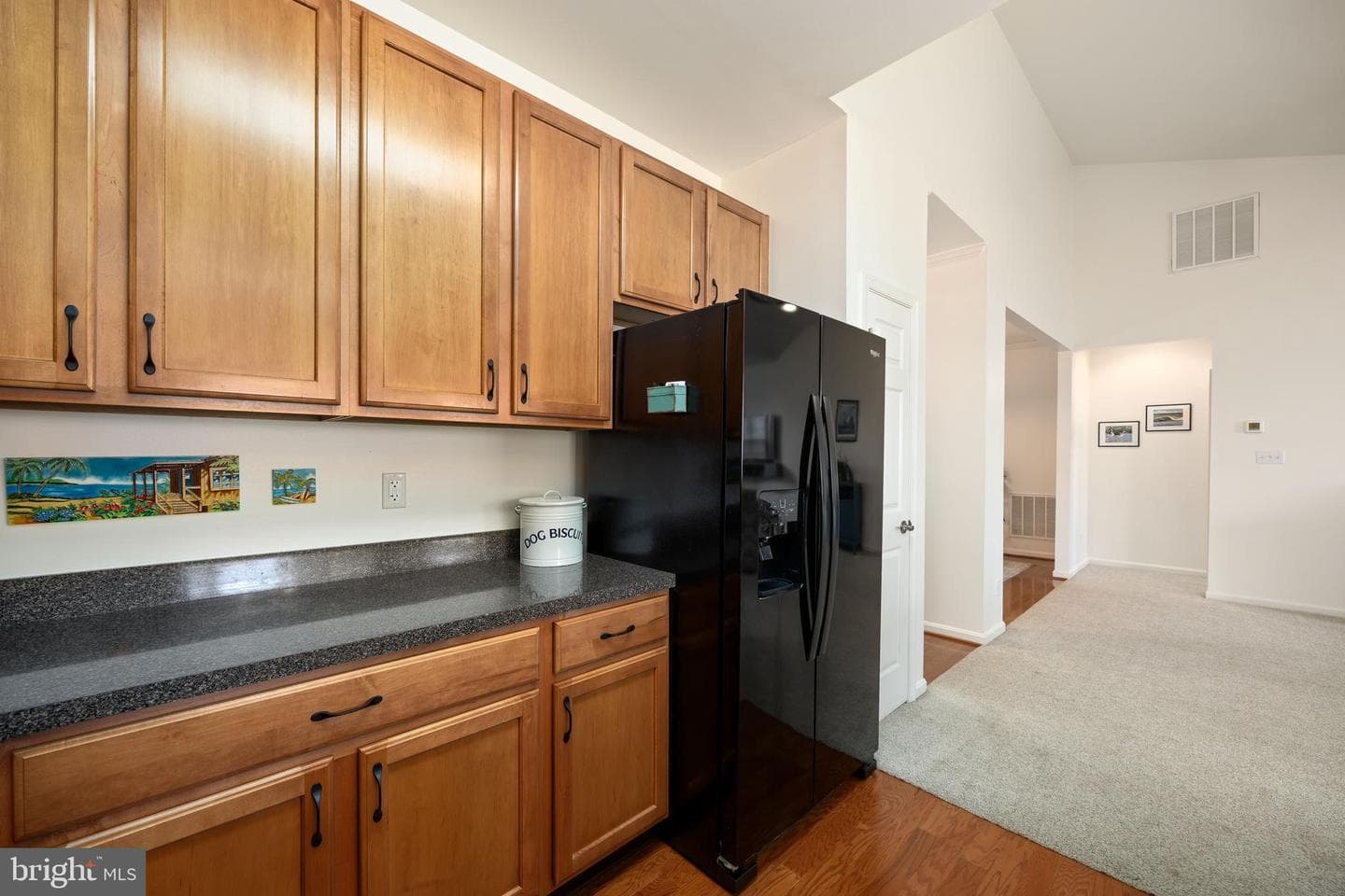 9187 Clubhouse Drive photo 38