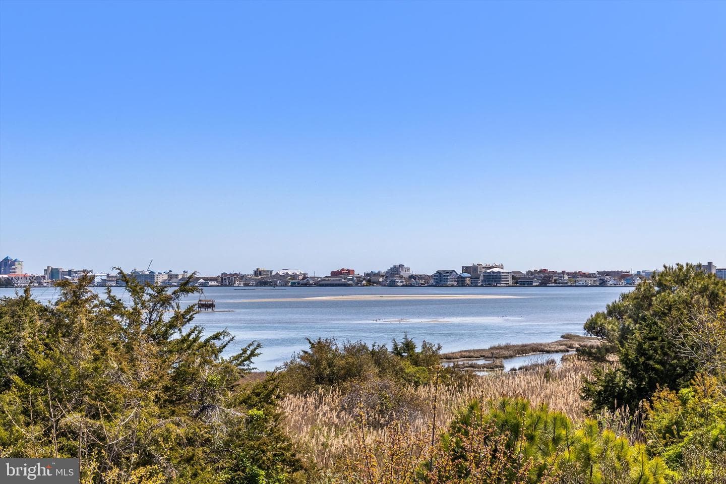 12907 Sand Bar Lane #2 photo 34