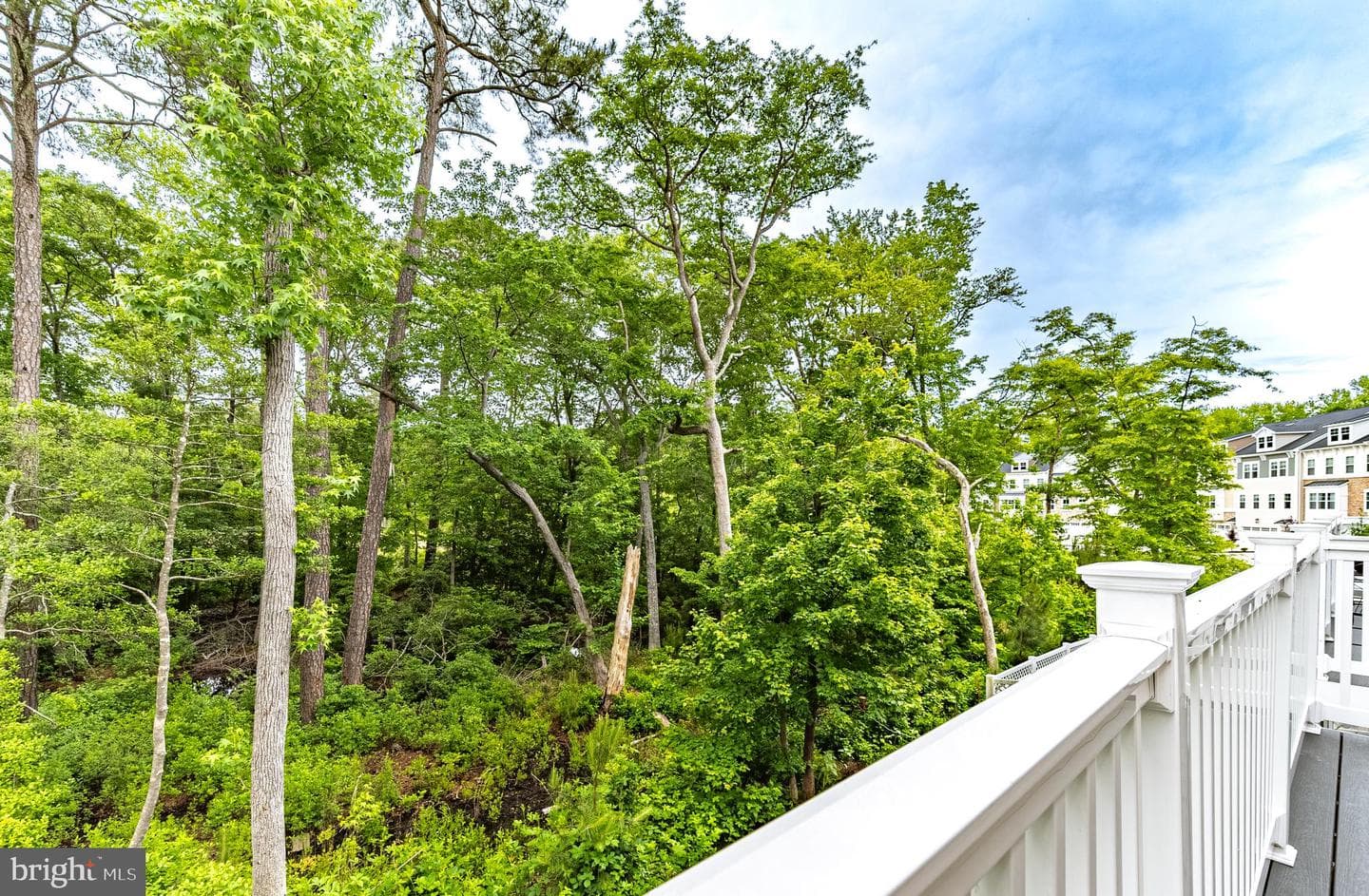 12428 Sea Oaks Lane #4 photo 39