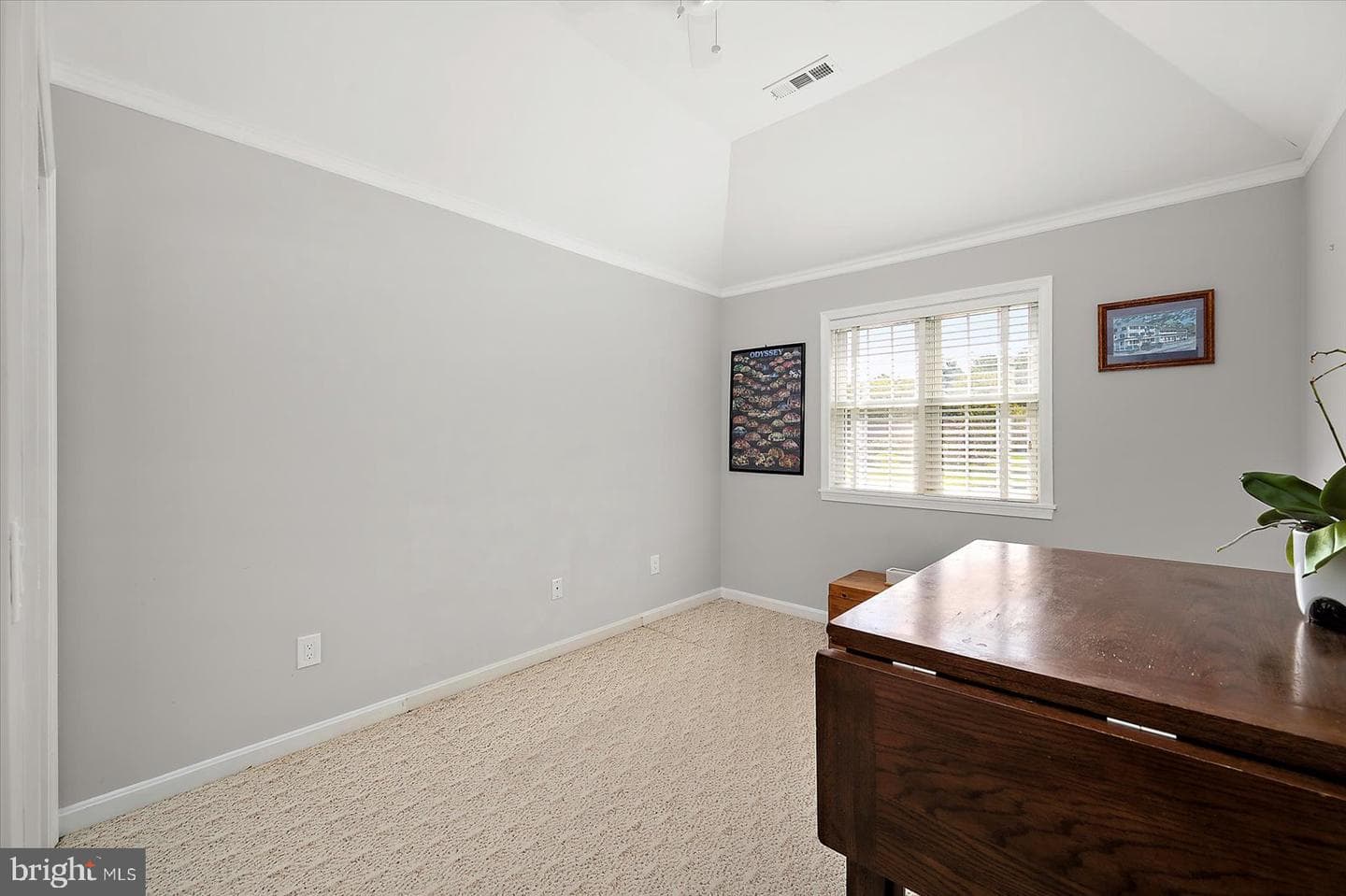 10909 Player Lane photo 65