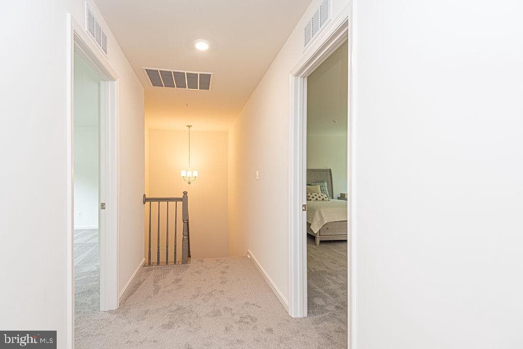 71 Hingham Lane photo 29