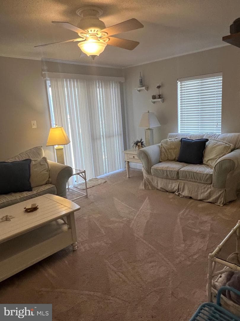 6308 Coastal Highway #101 photo 13