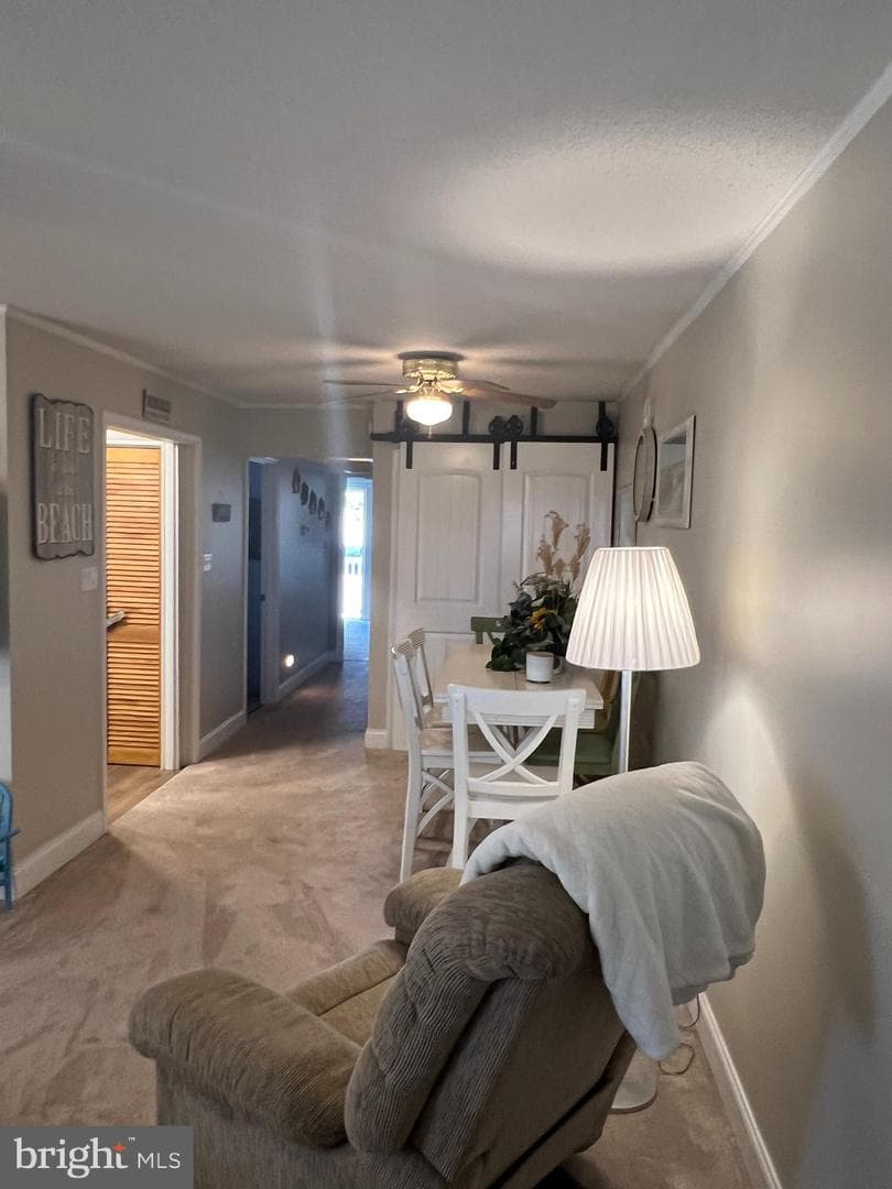 6308 Coastal Highway #101 photo 5