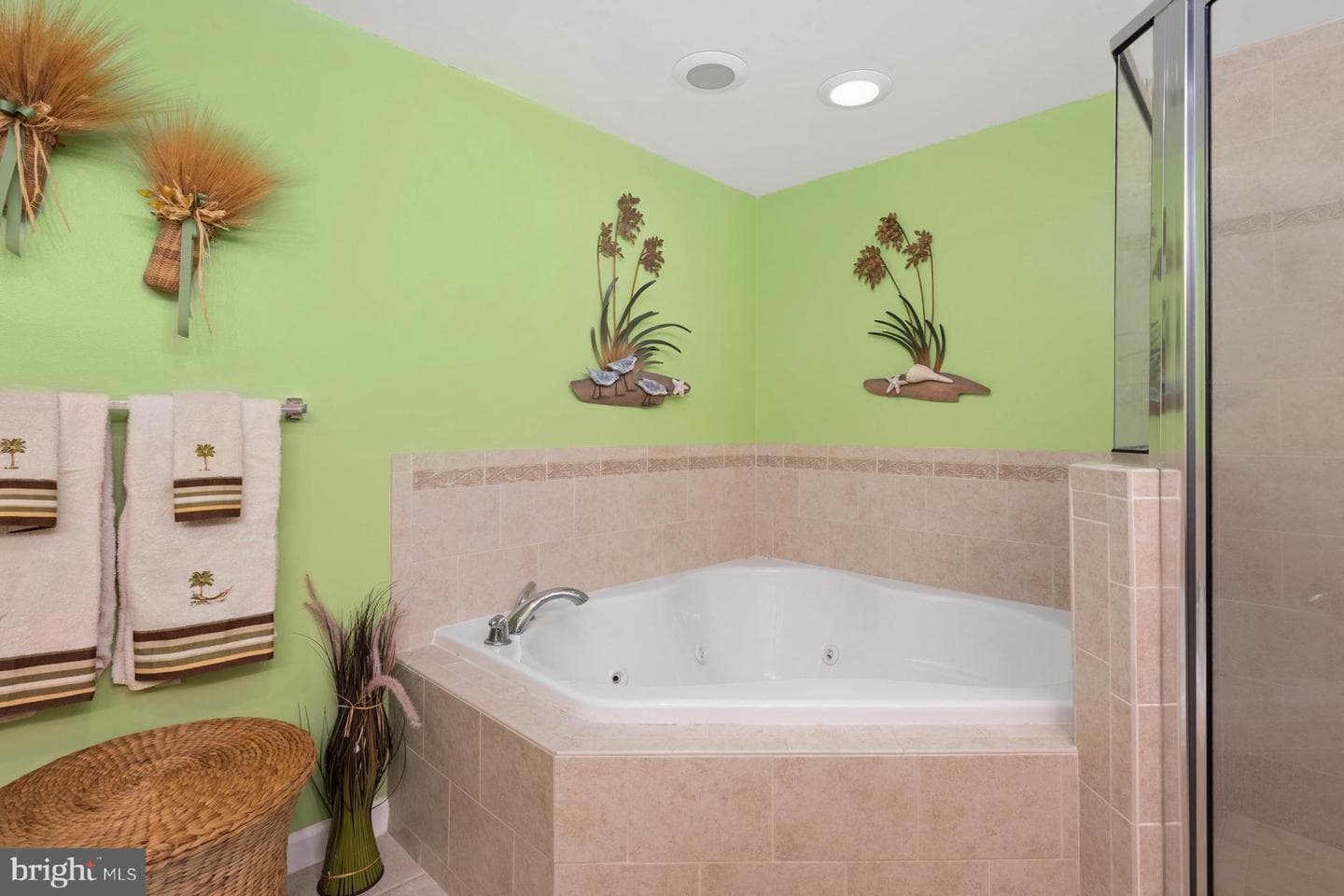 107 Somerset Street #102 photo 14