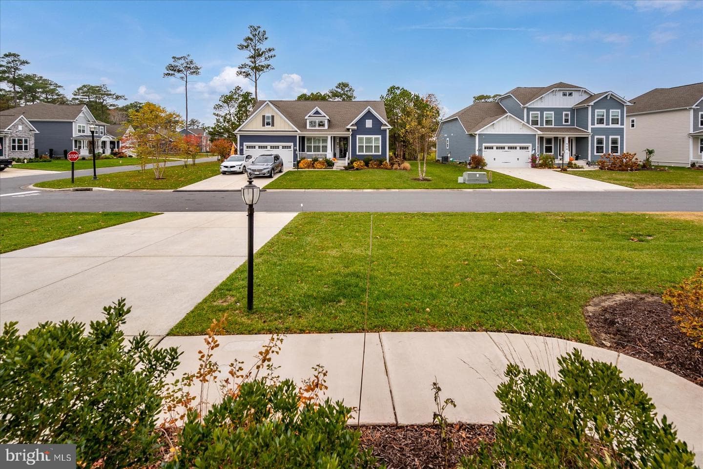 12147 Pimlico Lane photo 76