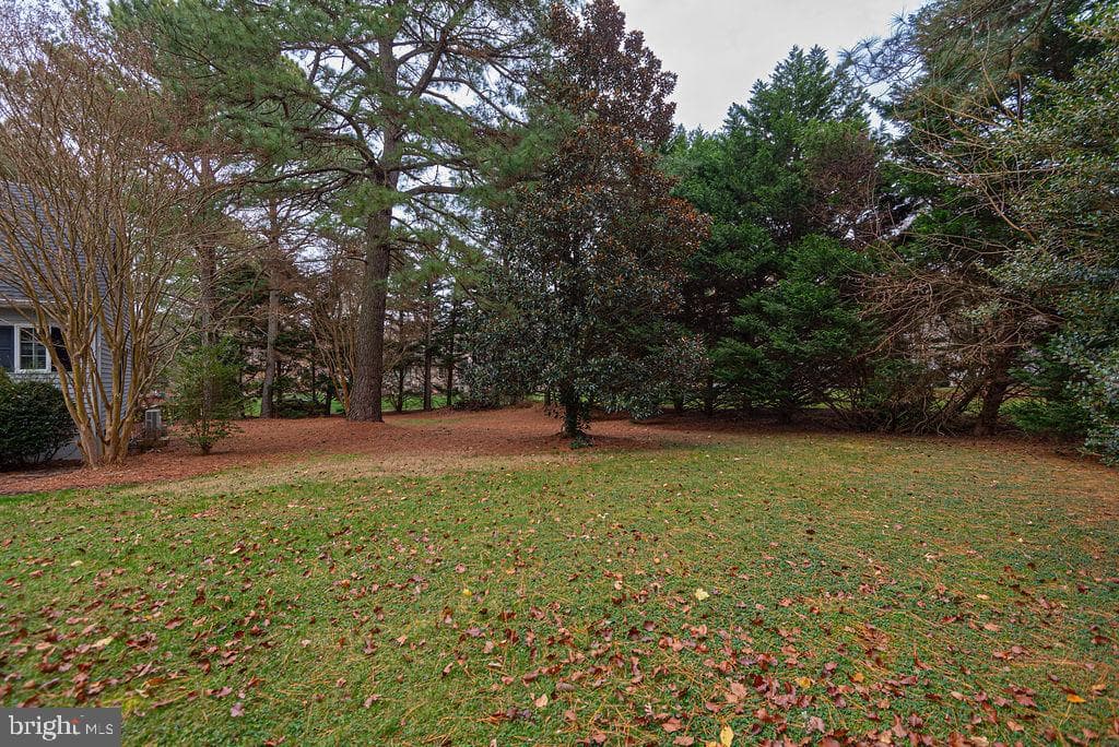 10641 Piney Island Dr photo 71