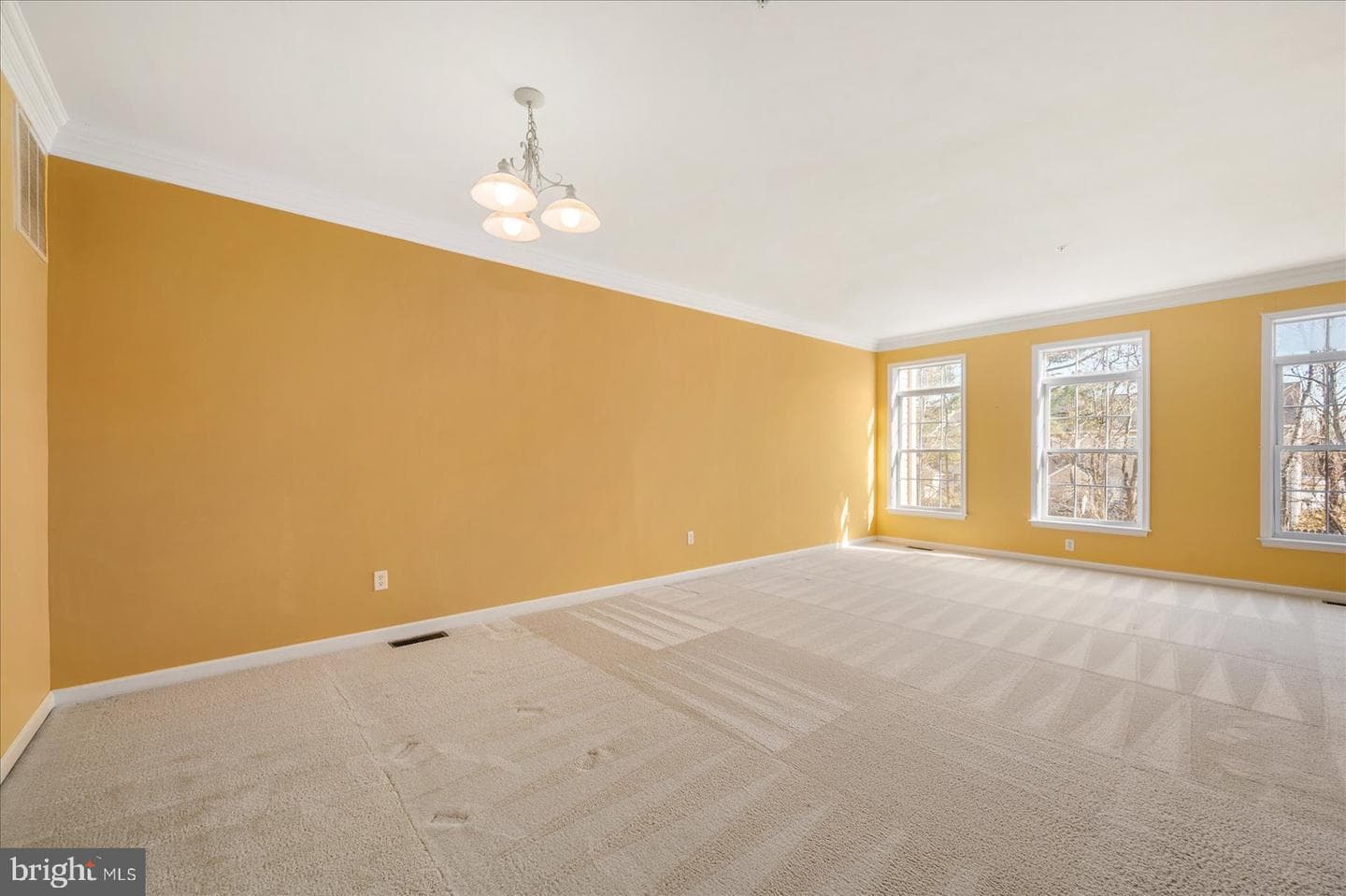 400 Williams Street #12 photo 6